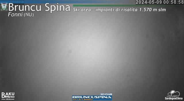 webcam Bruncu spina